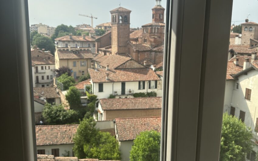 Pavia Viale Lungoticino Visconti ad.  vendesi attico mq 250 con terrazzo vista fiume, 2 posti auto EURO 860.000